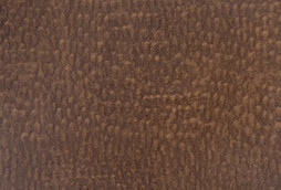 Bronze Cabinet Option Bronze Cabinet Option